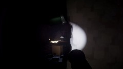 Free roam camera test