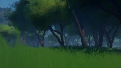 Forest [first person free roam]