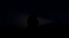 Five Nights at Freddy's Outside Darkness (Animation)