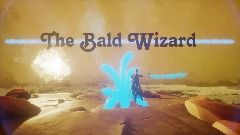 The Bald Wizard