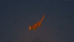 A screenshot taken in Dreams. 5 of 19.