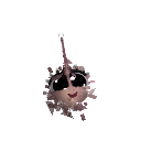 PET-STONE800