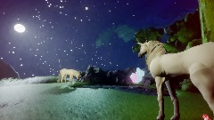 Unicorn Glade