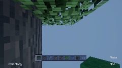 Skyblock World