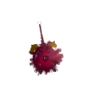 pepsi_kitty10