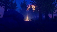 Delightful Sunrise in The Woods