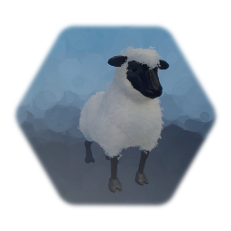 Sheep