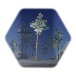 Snowy Spruce (Wide)