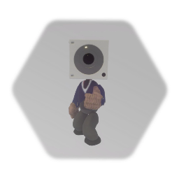 Camera Sack [Bot]