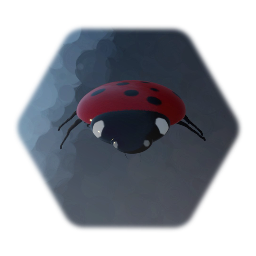 Ladybug