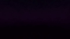 AnimationPlays Has Blocked You