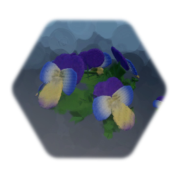 Viola Johnny Jump Up Flower