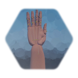 Freeform Hand Animation - 9/1/2025