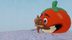 the tomato
