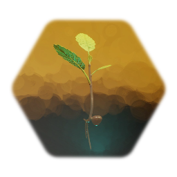 Chestnut sapling - CG 2.10