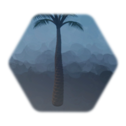 Palm Tree