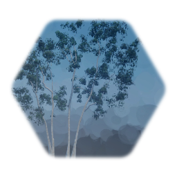California Eucalyptus
