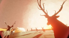 The long journey