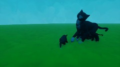 Stop following me cats