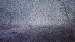 Siren Head ; found footage tape