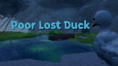The Poor Little Duck