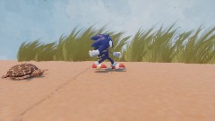 Sonic races, a tortise