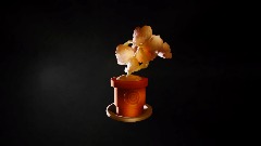 Bonsai at the end of the Universe