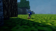 Sonic and MARIO in Minecraft