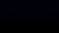 The Ultimate Boarders Collection