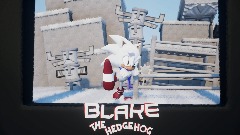 Blake the hedgehog