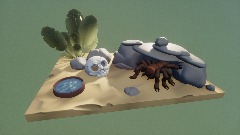 Spider-Terrarium