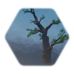 Tree type green bonsai