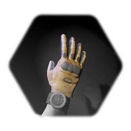 Military Glove