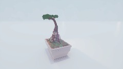 Bonsai 2