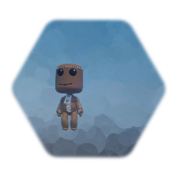 Sackboy Rig