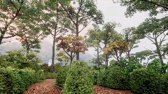 A screenshot taken in Dreams. 13 of 21.