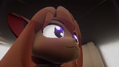 Training animation 1