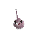 TheChysum