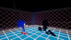 Sonic Vs. Metal Sonic