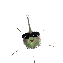 cmdrquantum