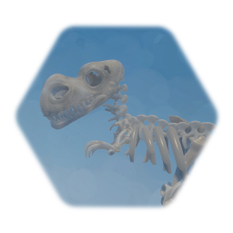 Squelette  de Tyranosaur