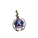 Spider_5382