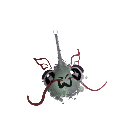 potato_pilot_