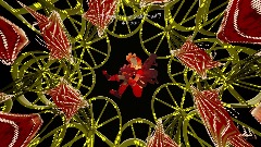 Carnival of the Lost Sands