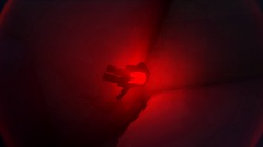 Ayur Island | Season 3 | Ends December 11th