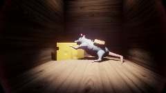 Rat  Survival
