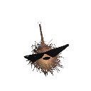 TheAtomicBomb831