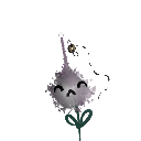 pepsi_kitty10