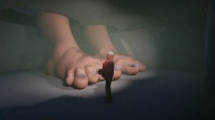 Looking for a fight in a box full of feet