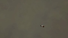 A screenshot taken in Dreams. 14 of 20.